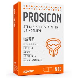 ICONFIT Prosicon, N30 пищевая добавка