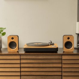 MARLEY vinila plašu atskaņotājs