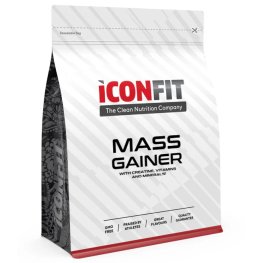 ICONFIT Mass Gainer - Vanilla (Carb 5:1 Protein), 1.5kg спортивное питание